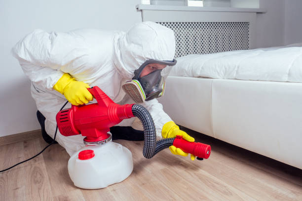 Best Fumigation Services  in Tioga, TX